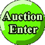 Auction Enter